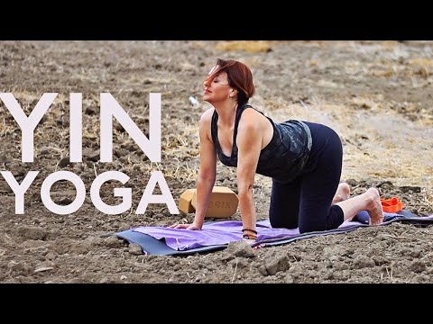 Blissful 1 hour Yin Yoga (For Stress Relief)