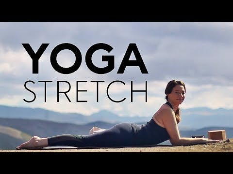 20 Minute Full Body Yoga Stretch (Relax) | Fightmaster Yoga Videos