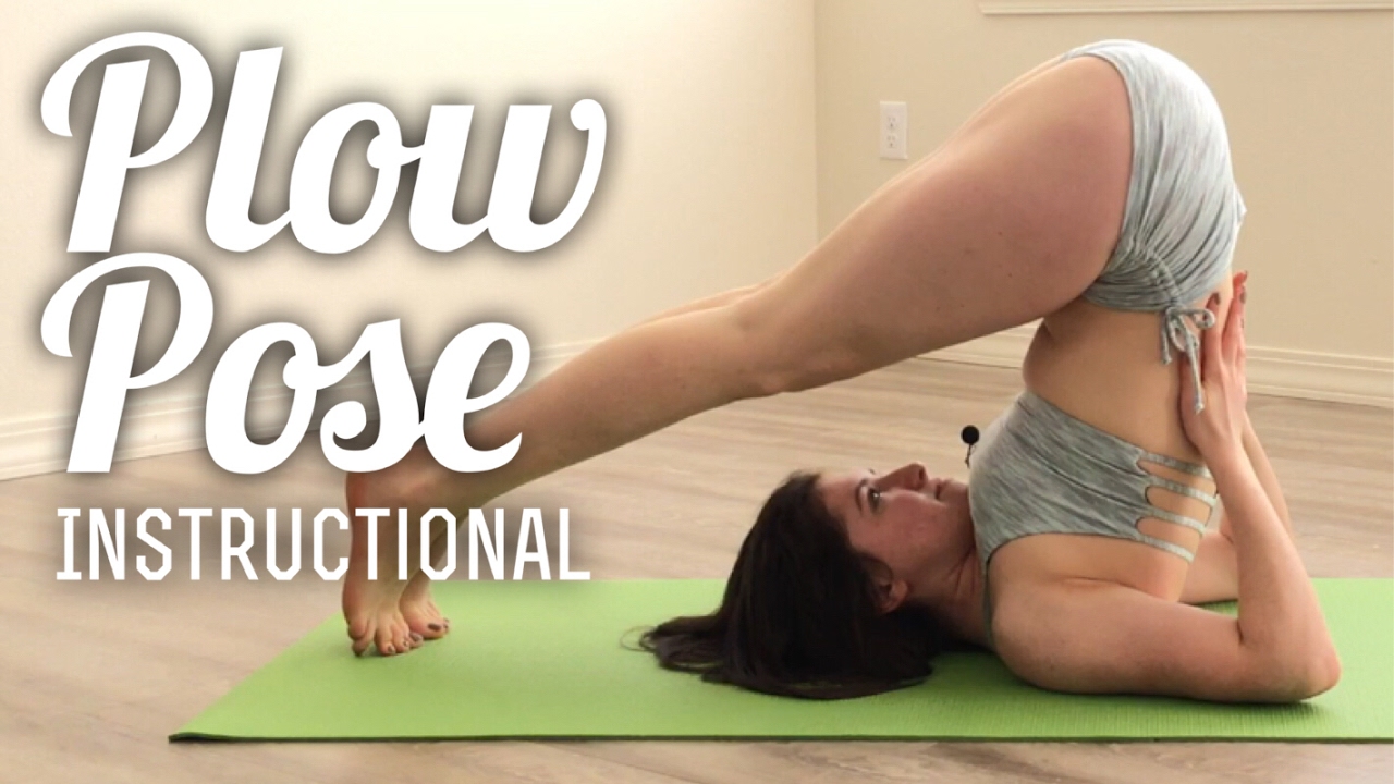 Plow Pose with Adee